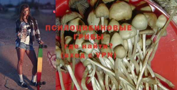 мяу мяу кристалл Алексин