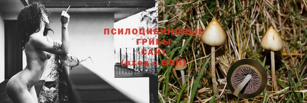 гидропоника Магас