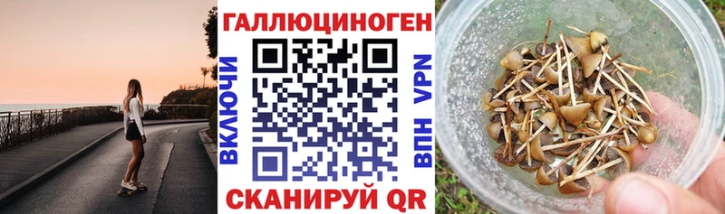 Псилоцибиновые грибы MAGIC MUSHROOMS  Ахтырский 